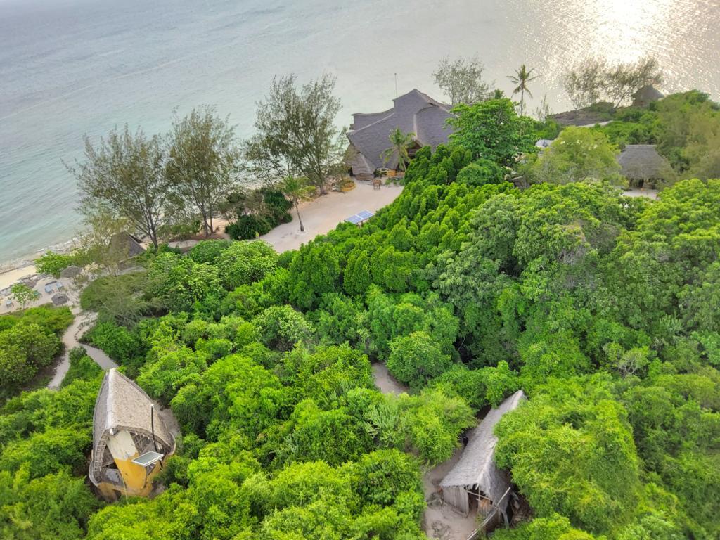 Zanzibar beach