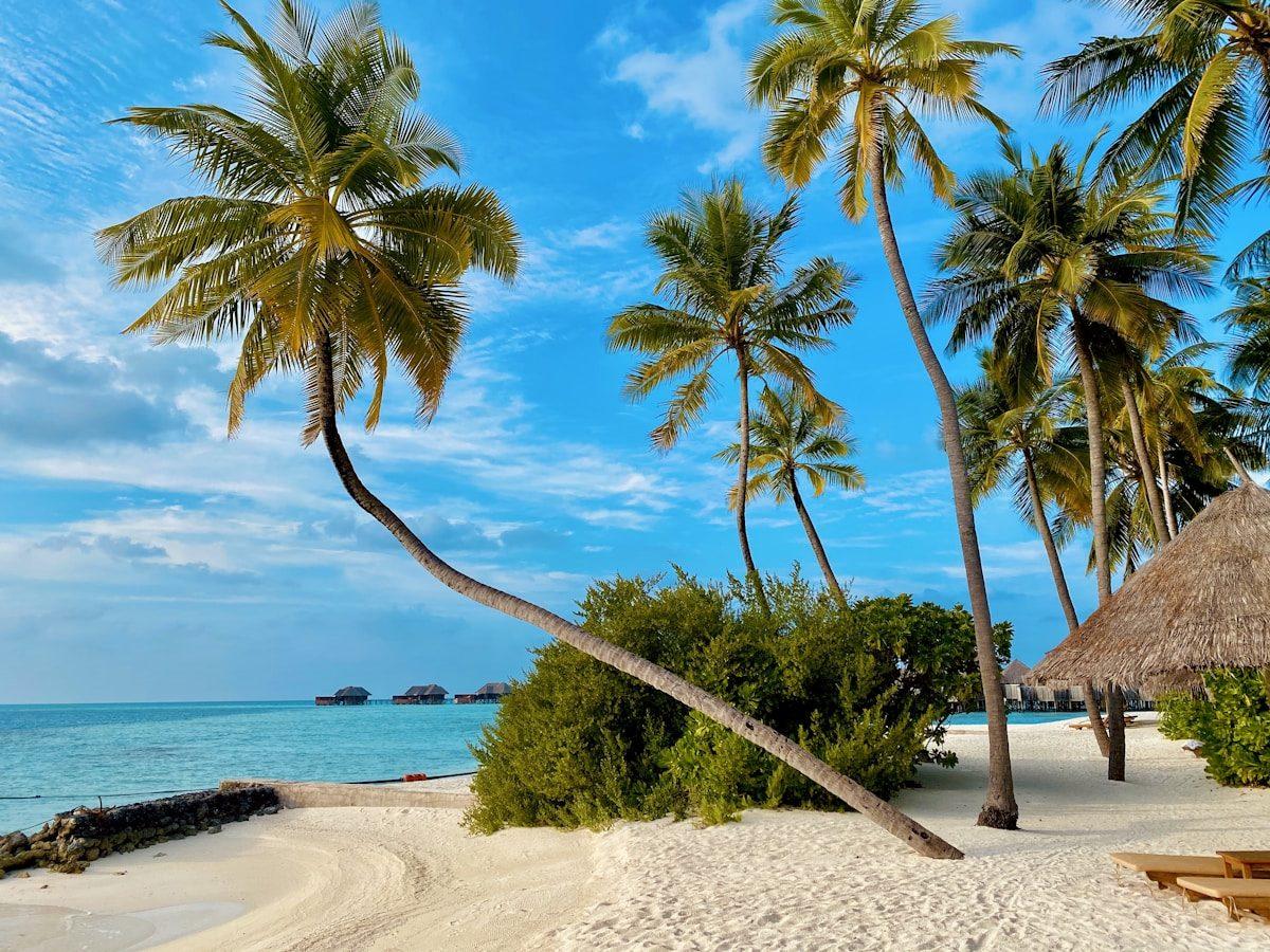 Zanzibar Beach Palace