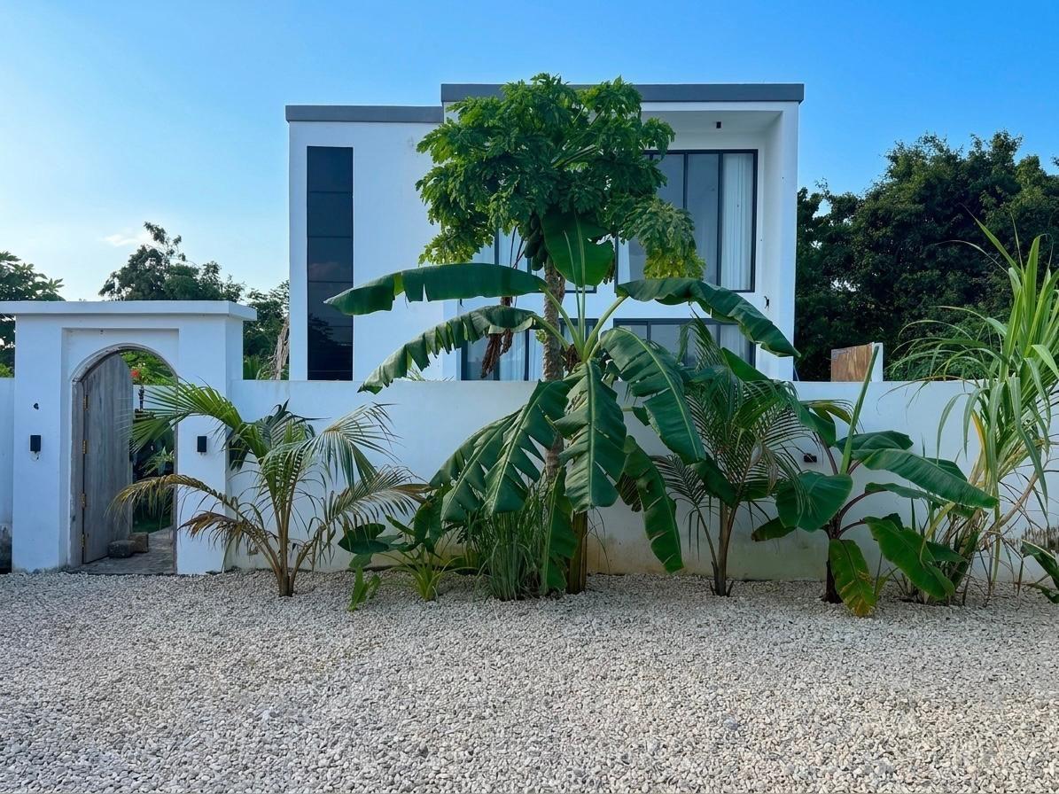Nungwi pool villa