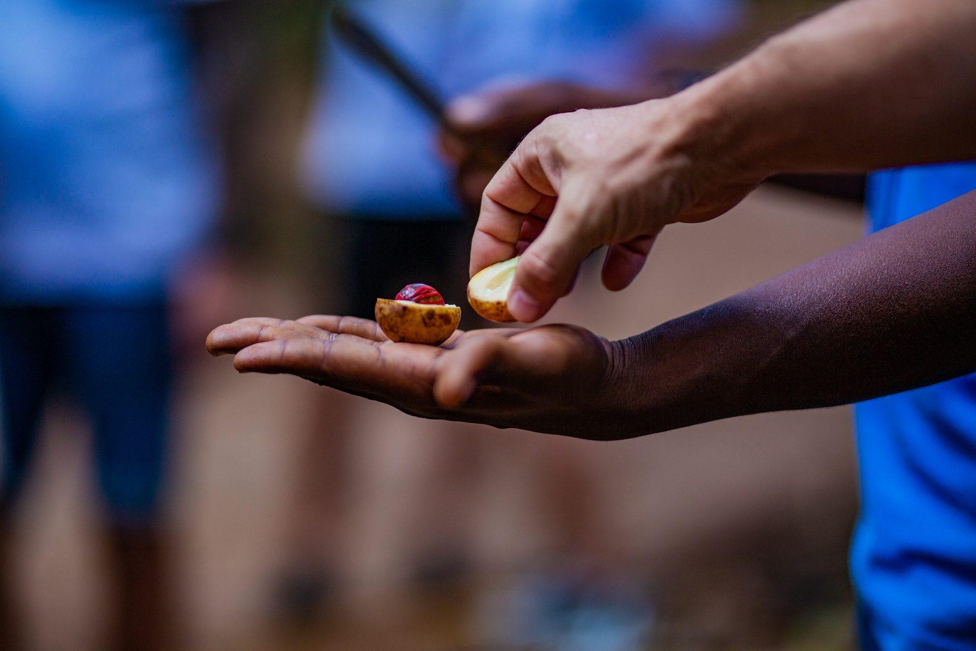 Spice and Stone town tours