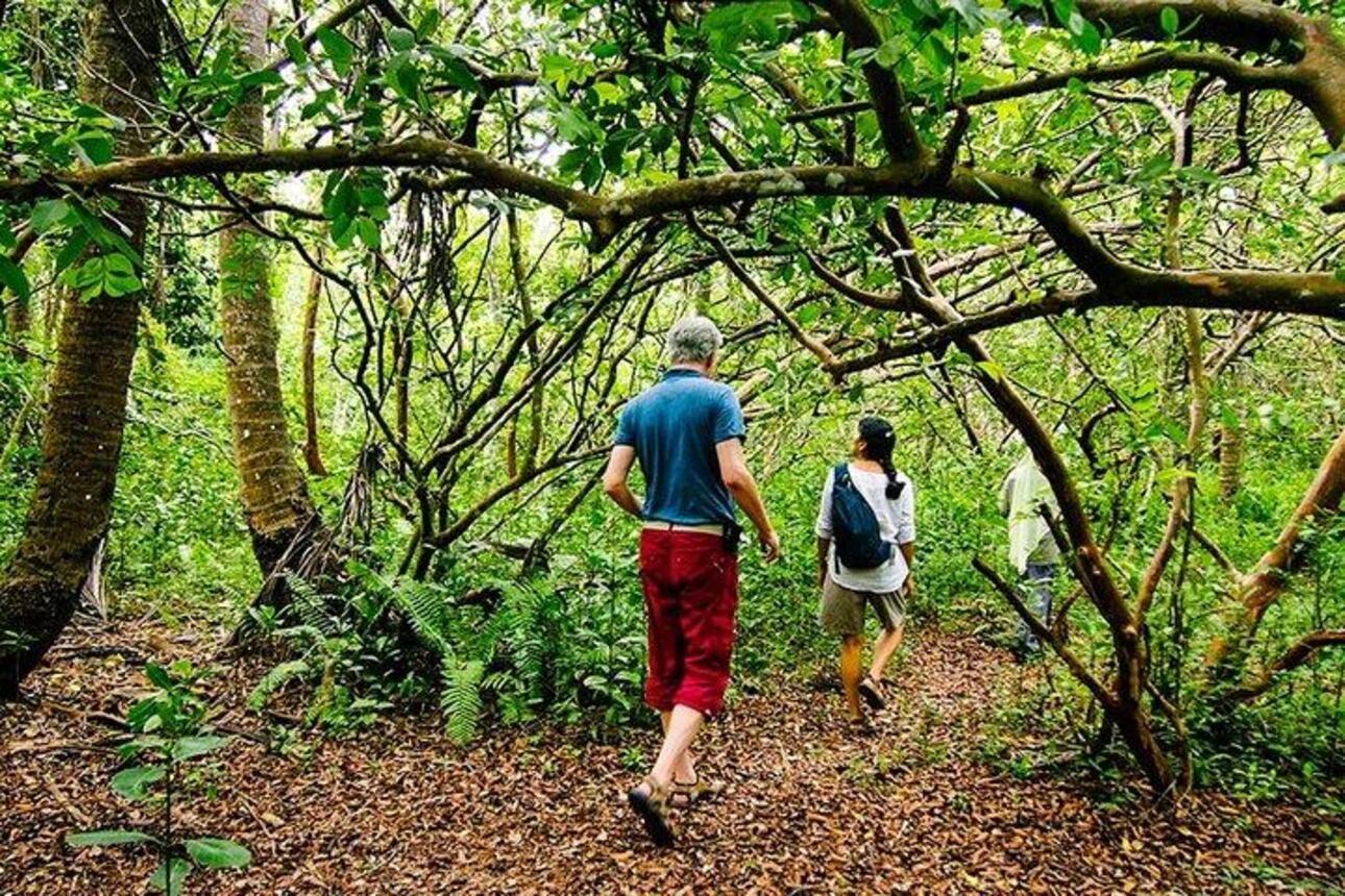 Zanzibar: Spice Farm Private Tour
