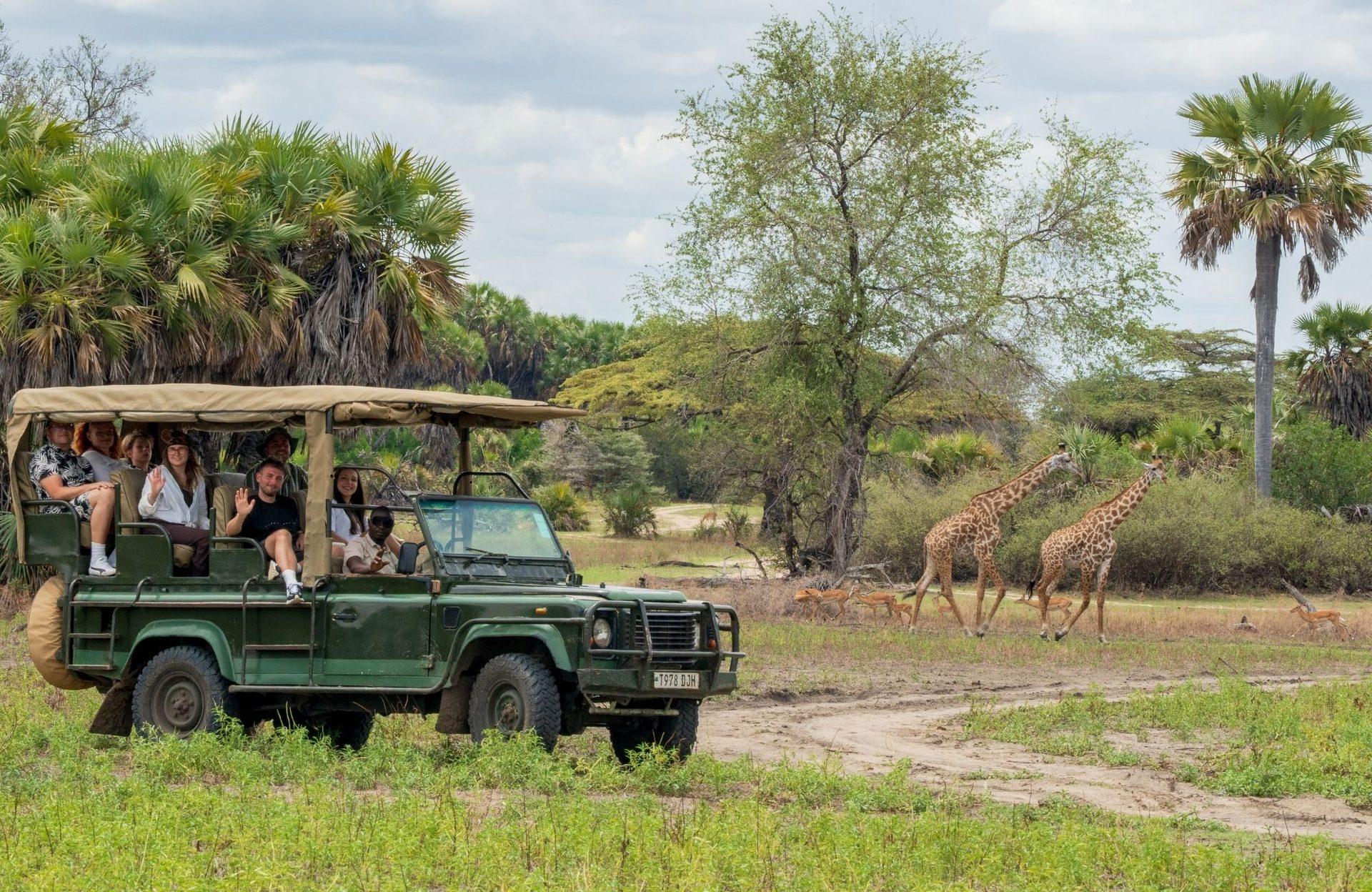 1-Day Nyerere National Park Fly-In Safari from Zanzibar