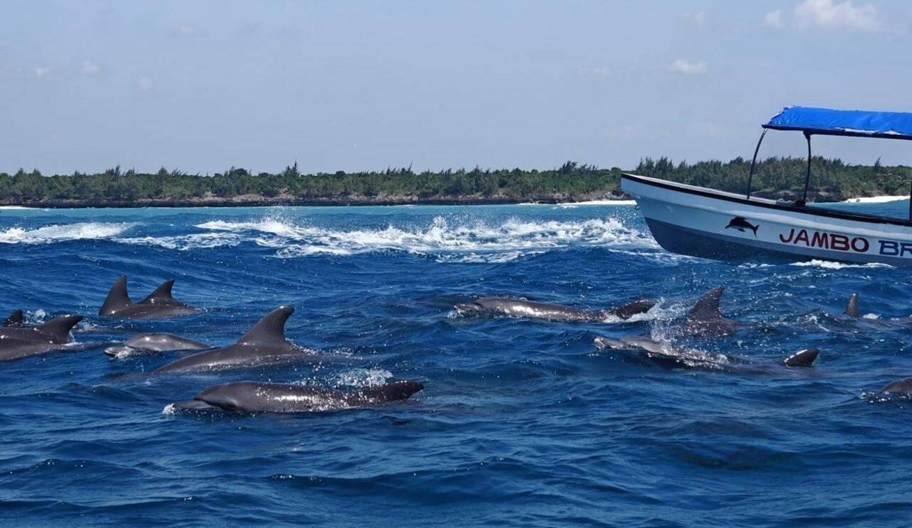 Mnemba Atoll Half-Day Snorkeling Tour from Zanzibar